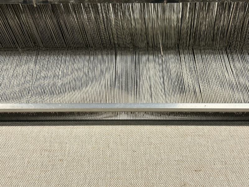 design sans titre (6)